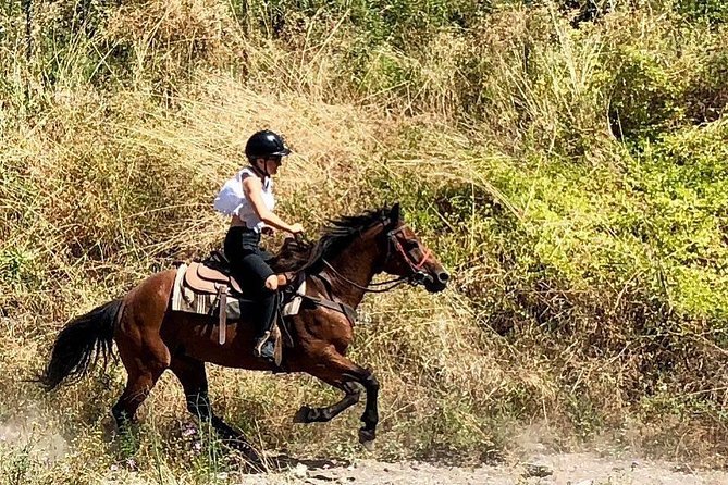 Horse Riding Tour, Naples - Directions
