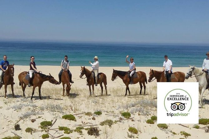 Horse Riding Tour on the Beach Lisbon Region - Directions and How to Reserve