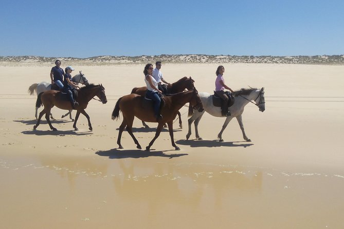 Horse Riding Tour on the Beach Lisbon Region - Frequently Asked Questions