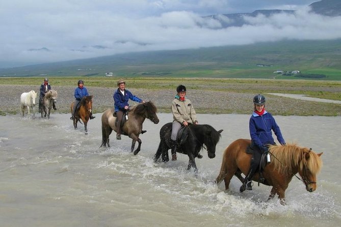 Horse Riding Tour to the Glacier River Delta With Waterfall - Tour Overview