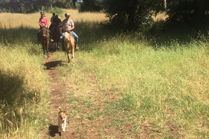 Horse Riding Trail in Ancient Rome - Tour Details and Options