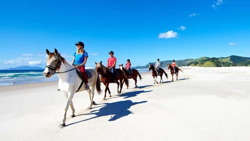 Horse Riding, Wine Tasting & Art Trail Private Tour - The Details That Matter