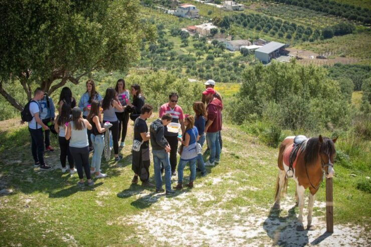 Horse Riding With Lunch in the Mountains Near Heraklion - Experience Highlights