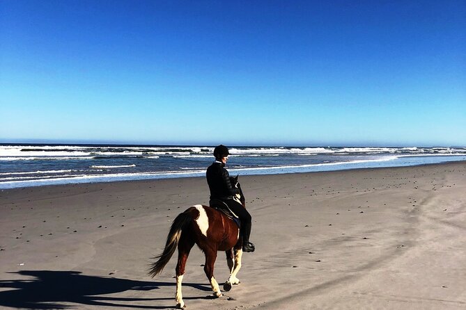 Horse Safari & Beach Ride Western Cape - Booking and Flexibility