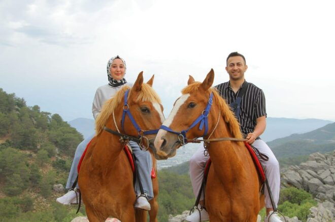 Horse Safari - Customer Feedback