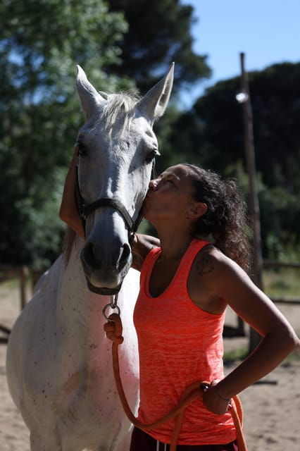 Horse Sanctuary in Rome - Good To Know