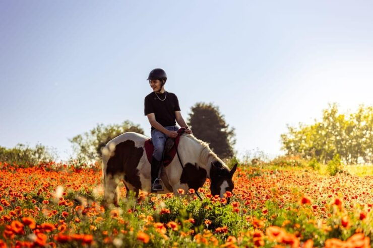 Horse Sanctuary in Rome - Pricing and Booking Details