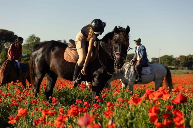 Horse Sanctuary in Rome - Itinerary Overview