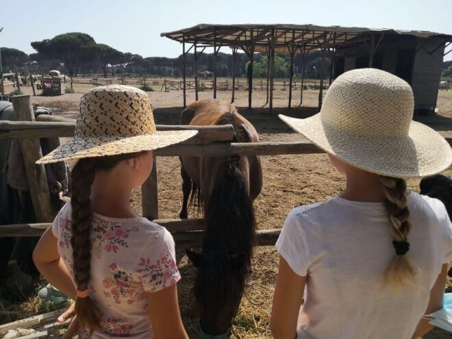 Horse Sanctuary in Rome - Transportation Options
