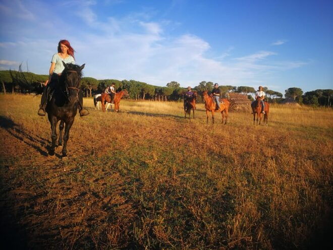 Horse Sanctuary in Rome - Accessibility Information