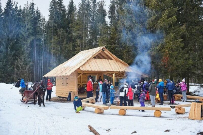Horse Sleigh 2-3h Ride with Hot Springs or Zakopane Combos - Discovering Zakopane: The Itinerary in Detail
