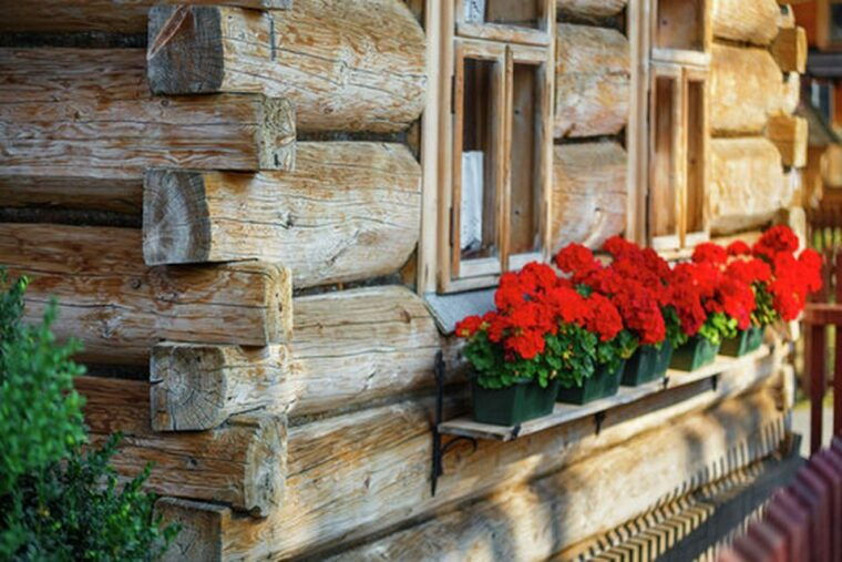 Horse Sleigh 2-3h Ride with Hot Springs or Zakopane Combos - Authentic Experiences & Insider Tips