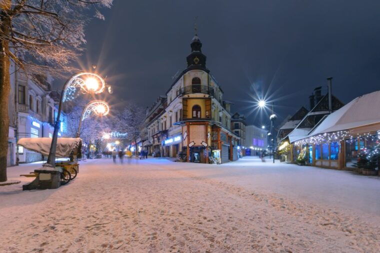 Horse Sleigh 2-3h Ride with Hot Springs or Zakopane Combos - Final Thoughts: Who Will Love This Tour?