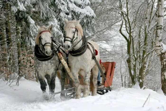 Horse Sleigh 2-3h Ride with Hot Springs or Zakopane Combos - FAQ