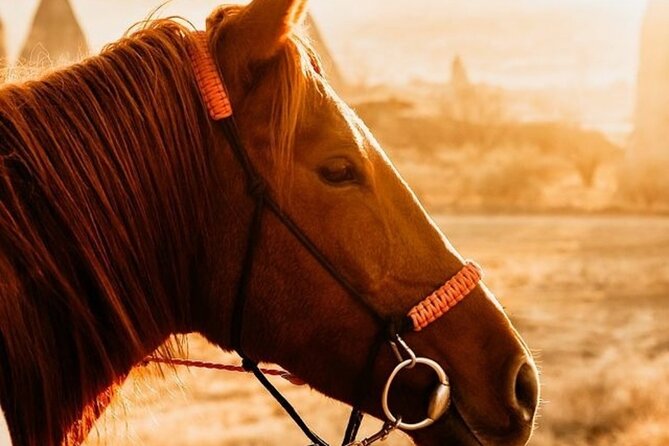 Horse Tour Accompanied by Sunset in Cappadocia - Including Hotel Transfer - Meeting and Pickup Details