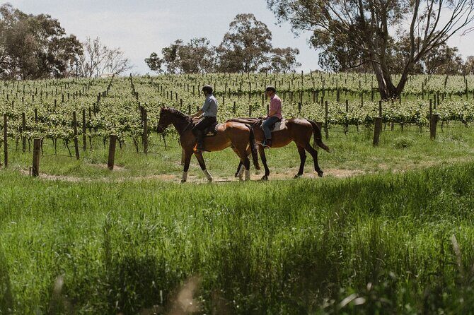 Horse Trail Ride and Wine Tasting at Adelaide Hills Winery - Good To Know: