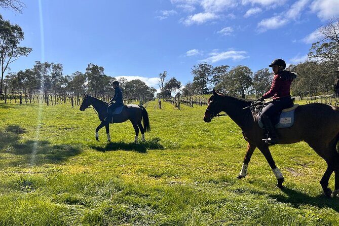 Horse Trail Ride and Wine Tasting at Adelaide Hills Winery - The Guided Trail Ride – 45 Minutes of Pure Enjoyment