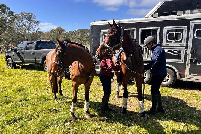 Horse Trail Ride and Wine Tasting at Adelaide Hills Winery - Post-Ride Activities