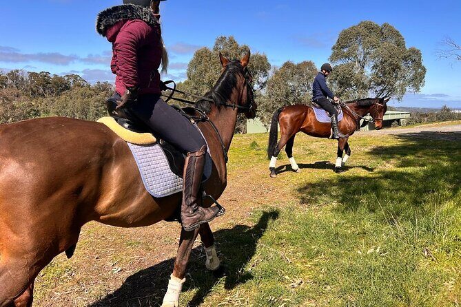 Horse Trail Ride and Wine Tasting at Adelaide Hills Winery - Additional Comforts