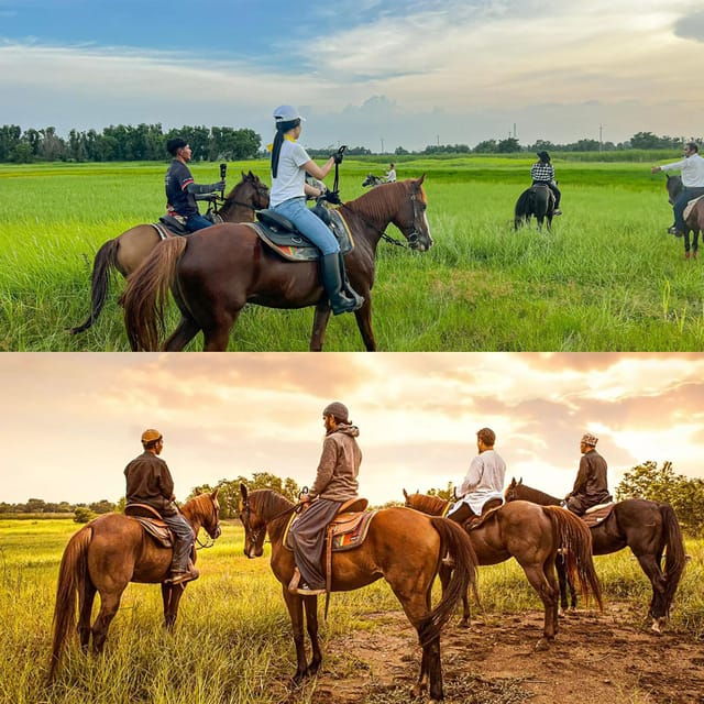 Horse Trail Riding Experience in Bangkok - Important Guidelines