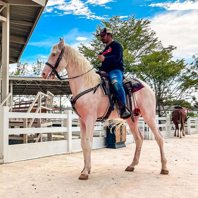 Horse Trail Riding Experience in Bangkok - Pricing Information
