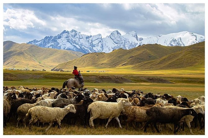 Horse Trek in Kyrgyzstan: Naryn to Kel-Suu Lake - Convenient Meeting and Pickup Logistics