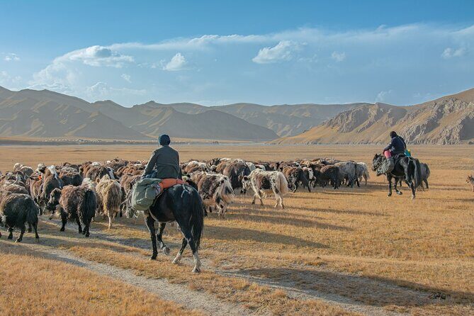 Horse Trek to Kel Suu Lake - Who Is This Tour Best For?