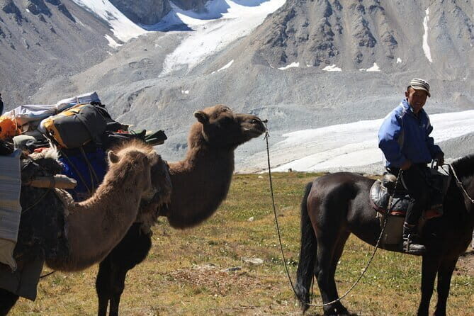 Horse Trekking in Altai Tavan Bogd National Park - Who Is This Tour For?
