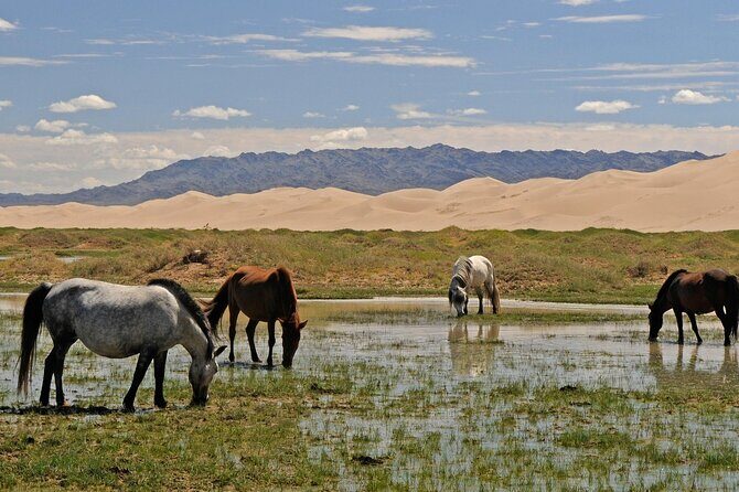 Horse Trekking Tour in Central Mongolia  Nomadic Adventure - Frequently Asked Questions