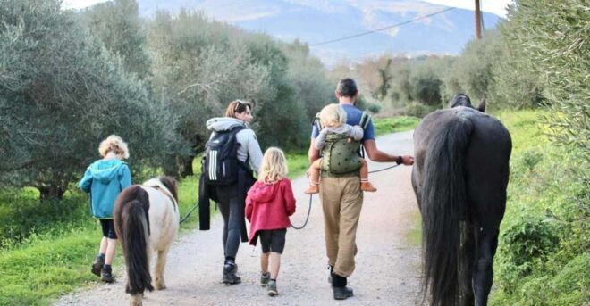 Horse Walking and Olive Oil Tasting - Dietary Considerations
