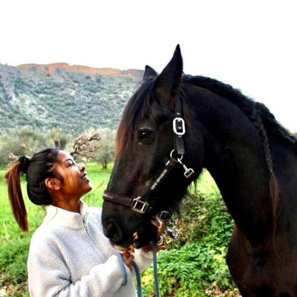 Horse Walking and Olive Oil Tasting - Booking Information