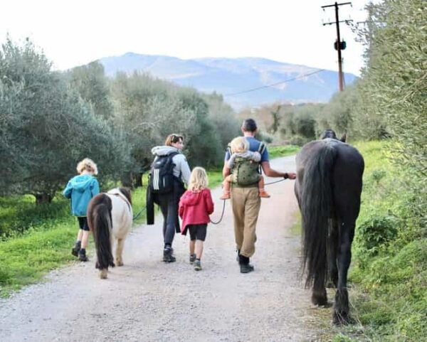 Horse Walking and Olive Oil Tasting - Unique Features