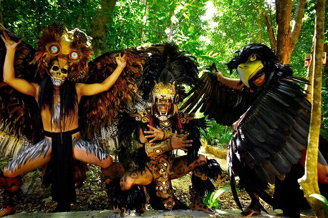 Horse Xtreme Wild - What to Expect from Horse Xtreme Wild