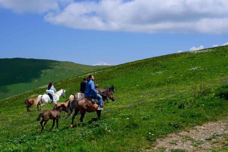 Horseback Adventure in Armenias Highland Pastures - The Return and Relaxation at Yerivar Guest House