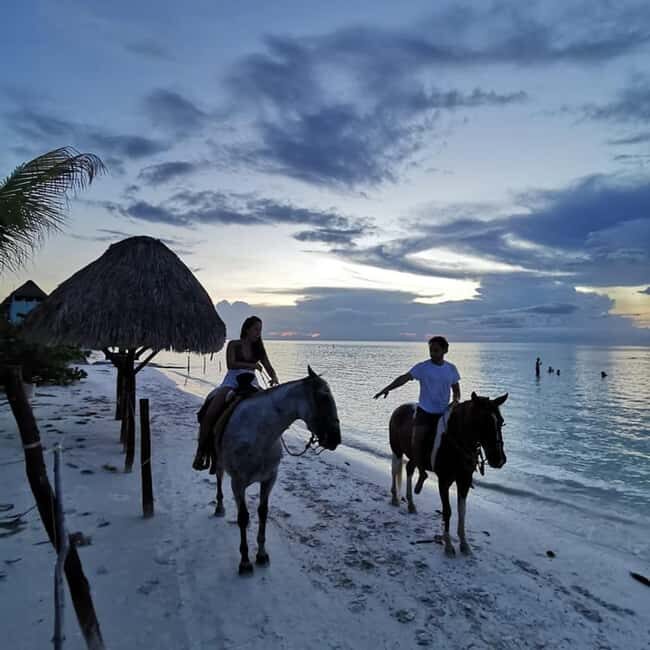 Horseback Adventure in Holbox - Exploring the Holbox Horseback Tour