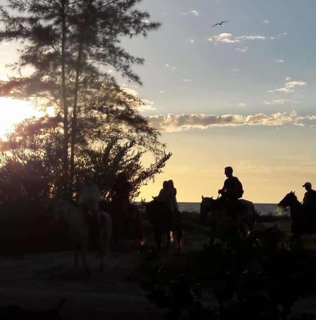 Horseback Adventure in Holbox - Is This Tour Right for You?