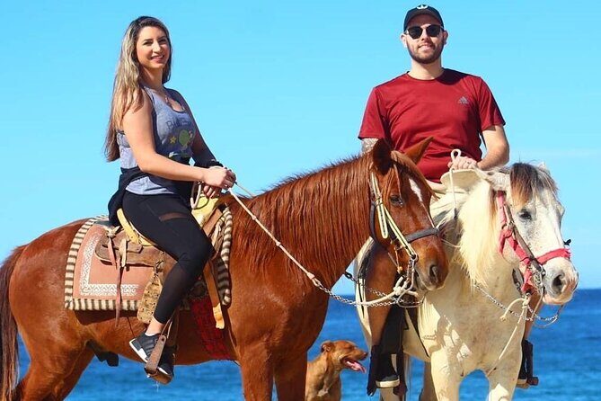 Horseback Adventures - FAQ