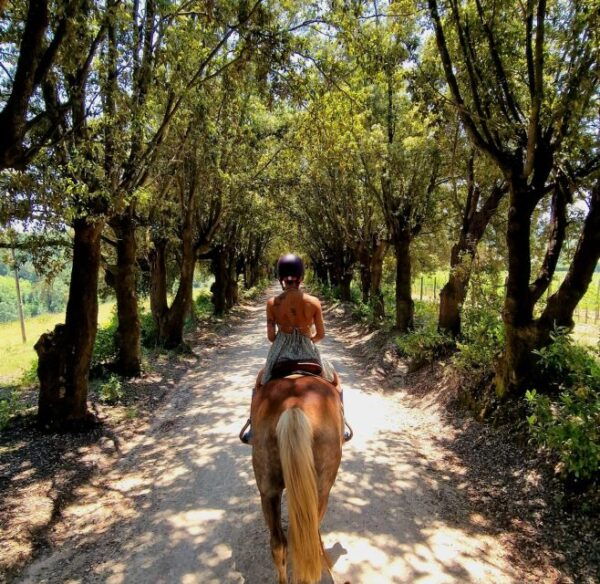 Horseback And Wine Tasting In Tuscan Countryside - The Sum Up