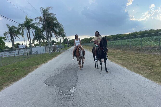 Horseback Experience in Miami - Introduction: A peaceful slice of Miami countryside