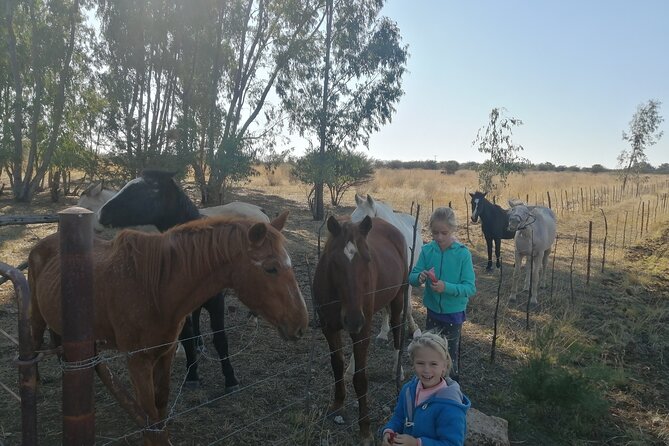Horseback Game Trail - Pricing and Booking