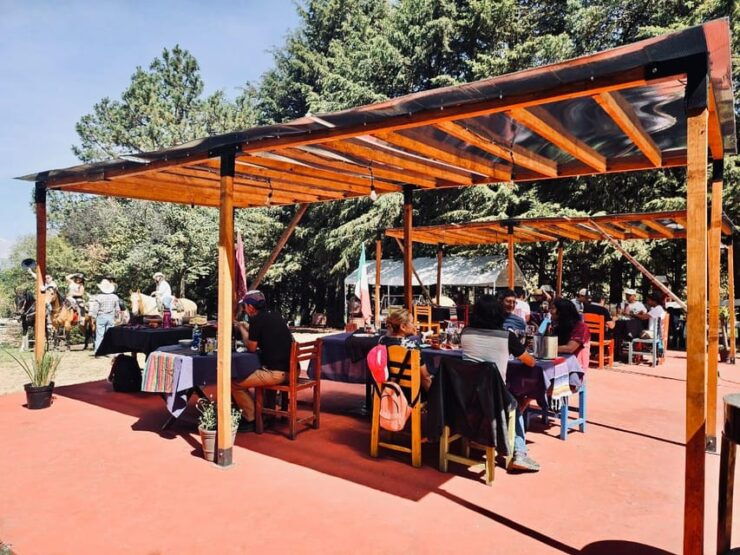 Horseback in the Mountains & Food in Our Ranch - Good To Know