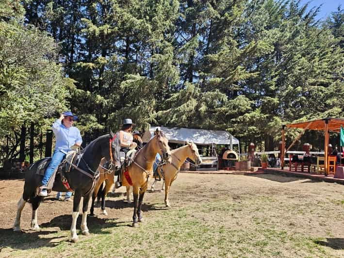 Horseback in the Mountains & Food in Our Ranch - Scenic Mountain Horseback Ride