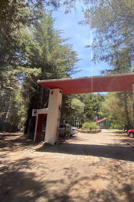 Horseback in the Mountains & Food in Our Ranch - Ajusco National Park Adventure