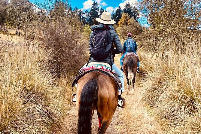 Horseback in the Mountains & Food in Our Ranch - Overview and Logistics