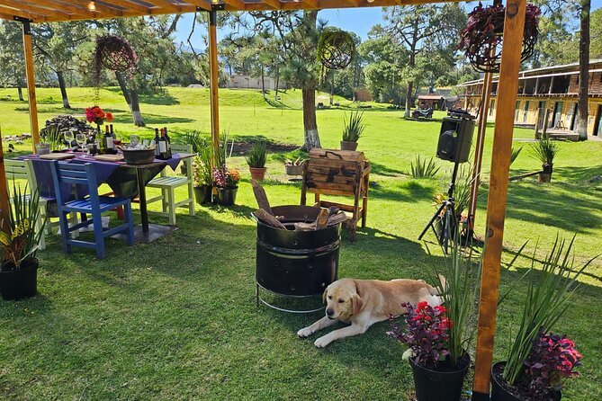 Horseback in the Mountains & Food in Our Ranch - What to Expect