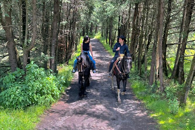 Horseback in the Mountains & Food in Our Ranch - Cancellation Policy