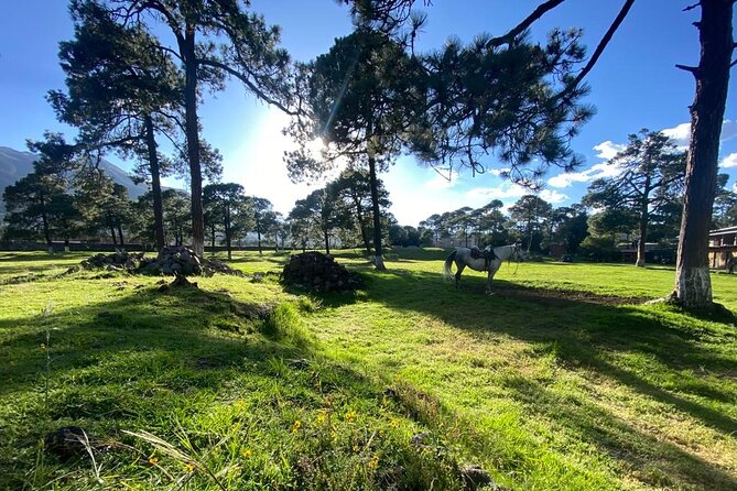 Horseback in the Mountains & Food in Our Ranch - The Sum Up