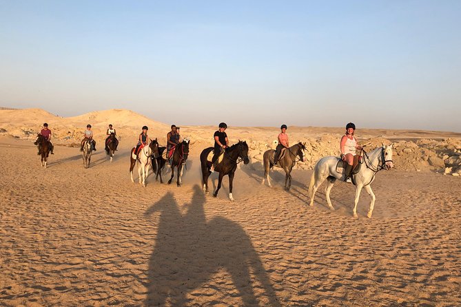 Horseback Or Camel Riding One Hour With Transfer - Sharm El Sheikh - Service Details