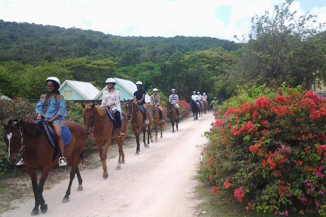 Horseback Ride Adventure from Ocho Rios - Good To Know