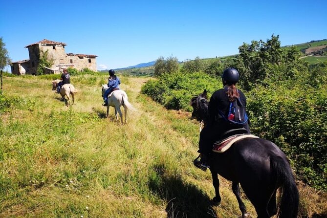 Horseback Ride and Poolside Day Chillout With Tuscan Lunch - Tour Overview